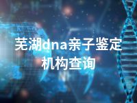 芜湖dna亲子鉴定机构查询