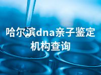 哈尔滨dna亲子鉴定机构查询