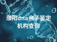 濮阳dna亲子鉴定机构查询