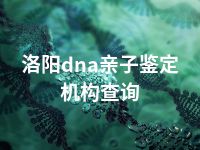 洛阳dna亲子鉴定机构查询