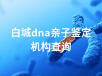 白城dna亲子鉴定机构查询