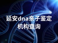 延安dna亲子鉴定机构查询