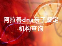 阿拉善dna亲子鉴定机构查询