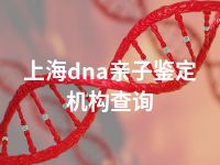 上海dna亲子鉴定机构查询