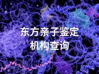 东方亲子鉴定机构查询