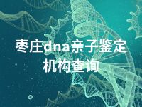 枣庄dna亲子鉴定机构查询