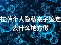 拉萨个人隐私亲子鉴定去什么地方做