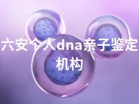 六安个人dna亲子鉴定机构