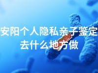 安阳个人隐私亲子鉴定去什么地方做