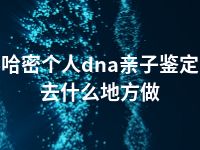 哈密个人dna亲子鉴定去什么地方做