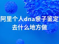 阿里个人dna亲子鉴定去什么地方做