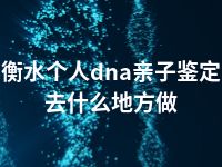 衡水个人dna亲子鉴定去什么地方做