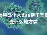 秦皇岛个人dna亲子鉴定去什么地方做