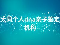 大同个人dna亲子鉴定机构