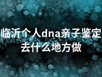 临沂个人dna亲子鉴定去什么地方做