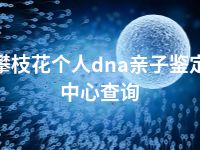 攀枝花个人dna亲子鉴定中心查询