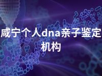 咸宁个人dna亲子鉴定机构