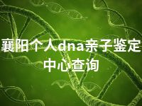 襄阳个人dna亲子鉴定中心查询