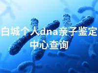 白城个人dna亲子鉴定中心查询