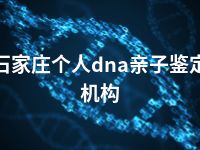 石家庄个人dna亲子鉴定机构