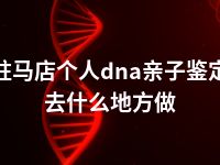 驻马店个人dna亲子鉴定去什么地方做