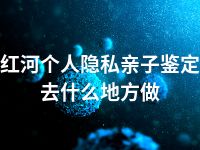 红河个人隐私亲子鉴定去什么地方做