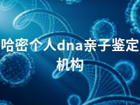 哈密个人dna亲子鉴定机构