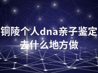 铜陵个人dna亲子鉴定去什么地方做