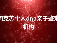 阿克苏个人dna亲子鉴定机构