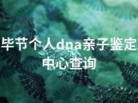 毕节个人dna亲子鉴定中心查询