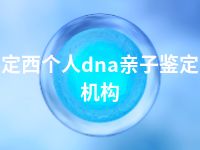 定西个人dna亲子鉴定机构