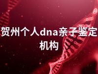 贺州个人dna亲子鉴定机构