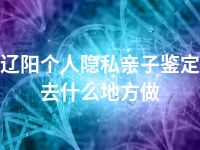 辽阳个人隐私亲子鉴定去什么地方做