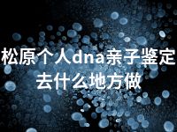 松原个人dna亲子鉴定去什么地方做