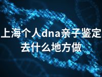 上海个人dna亲子鉴定去什么地方做