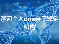 漯河个人dna亲子鉴定机构