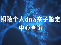 铜陵个人dna亲子鉴定中心查询