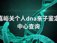 嘉峪关个人dna亲子鉴定中心查询