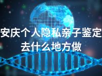 安庆个人隐私亲子鉴定去什么地方做