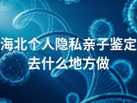 海北个人隐私亲子鉴定去什么地方做