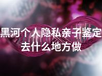 黑河个人隐私亲子鉴定去什么地方做