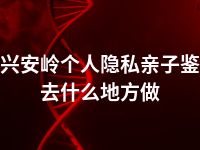 大兴安岭个人隐私亲子鉴定去什么地方做