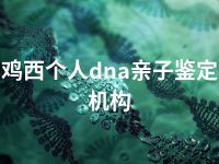 鸡西个人dna亲子鉴定机构