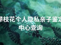 攀枝花个人隐私亲子鉴定中心查询