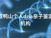 双鸭山个人dna亲子鉴定机构