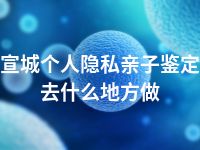 宣城个人隐私亲子鉴定去什么地方做