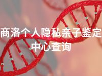 商洛个人隐私亲子鉴定中心查询