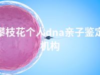 攀枝花个人dna亲子鉴定机构