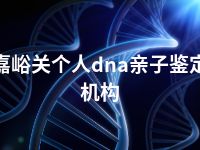 嘉峪关个人dna亲子鉴定机构