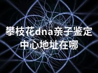 攀枝花dna亲子鉴定中心地址在哪